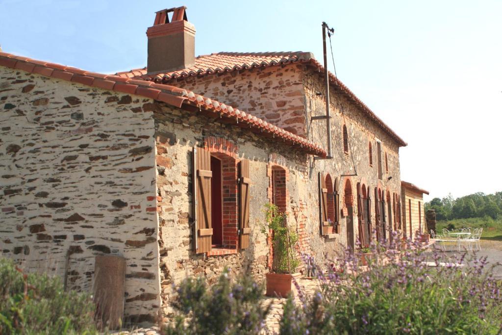 Chambres D'Hotes Le Chateau Rouge Saint-Germain-sur-Moine Eksteriør billede