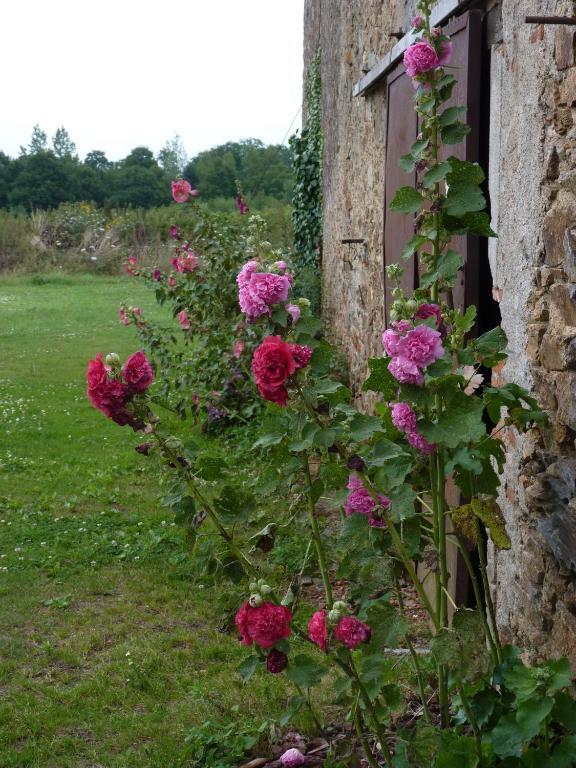 Chambres D'Hotes Le Chateau Rouge Saint-Germain-sur-Moine Eksteriør billede